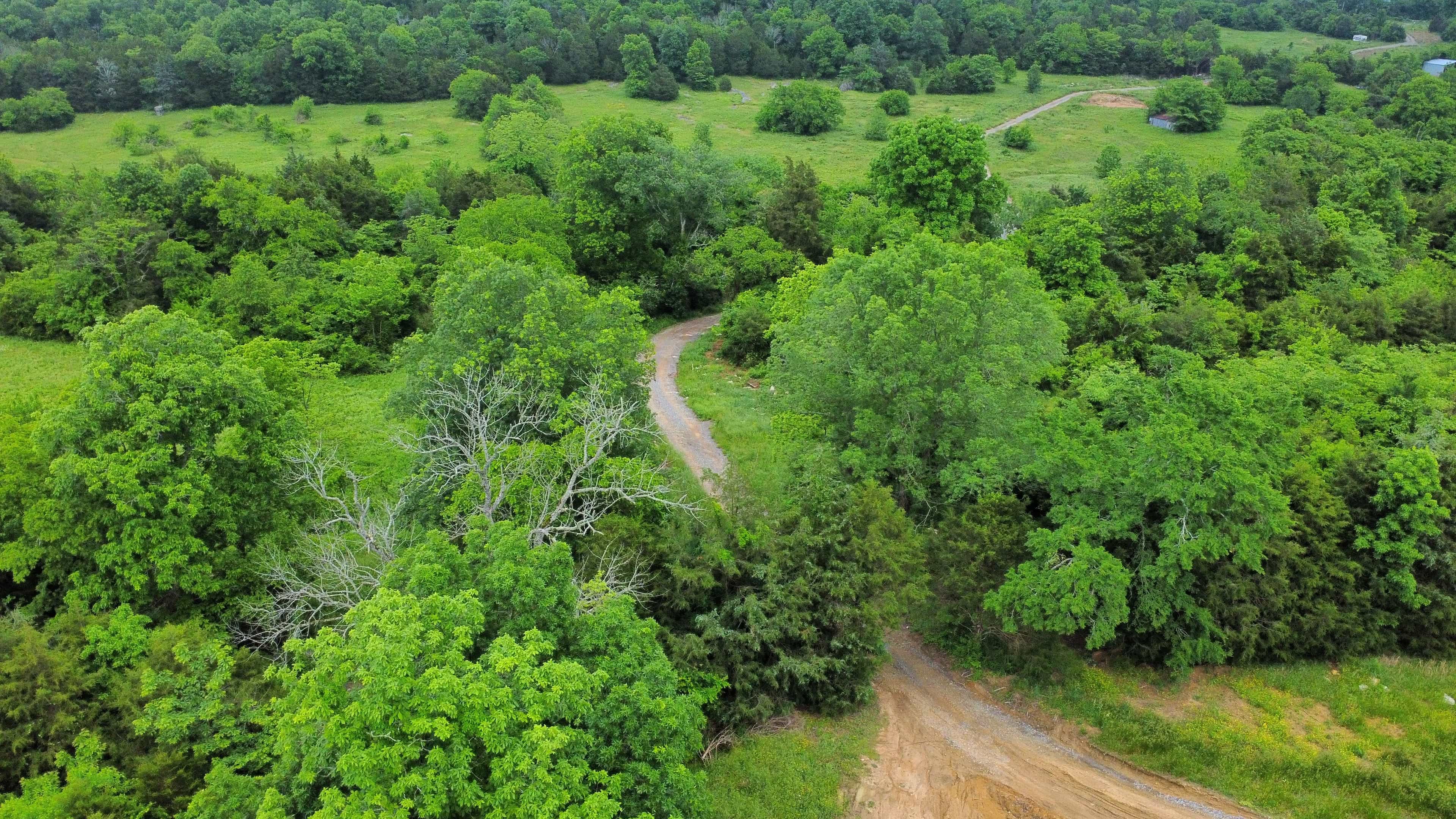 Hero image for Middle Tennessee Land Clearing LLC